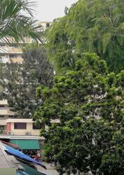 Tiong Bahru Orchid (D3), Shop House #639826951